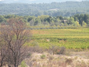 image015