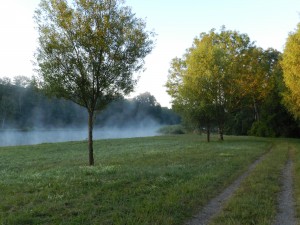 Saarkanal.Albeschaux.07-15.008