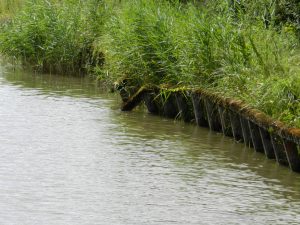 saarkanal.05.08.16.020_2