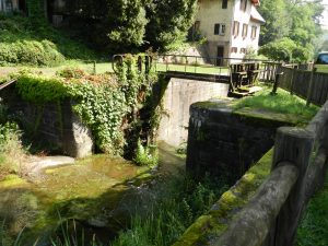 vallee des eclusiers.11.08.16.008