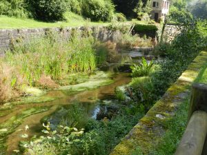 vallée des eclusiers.11.08.16.009